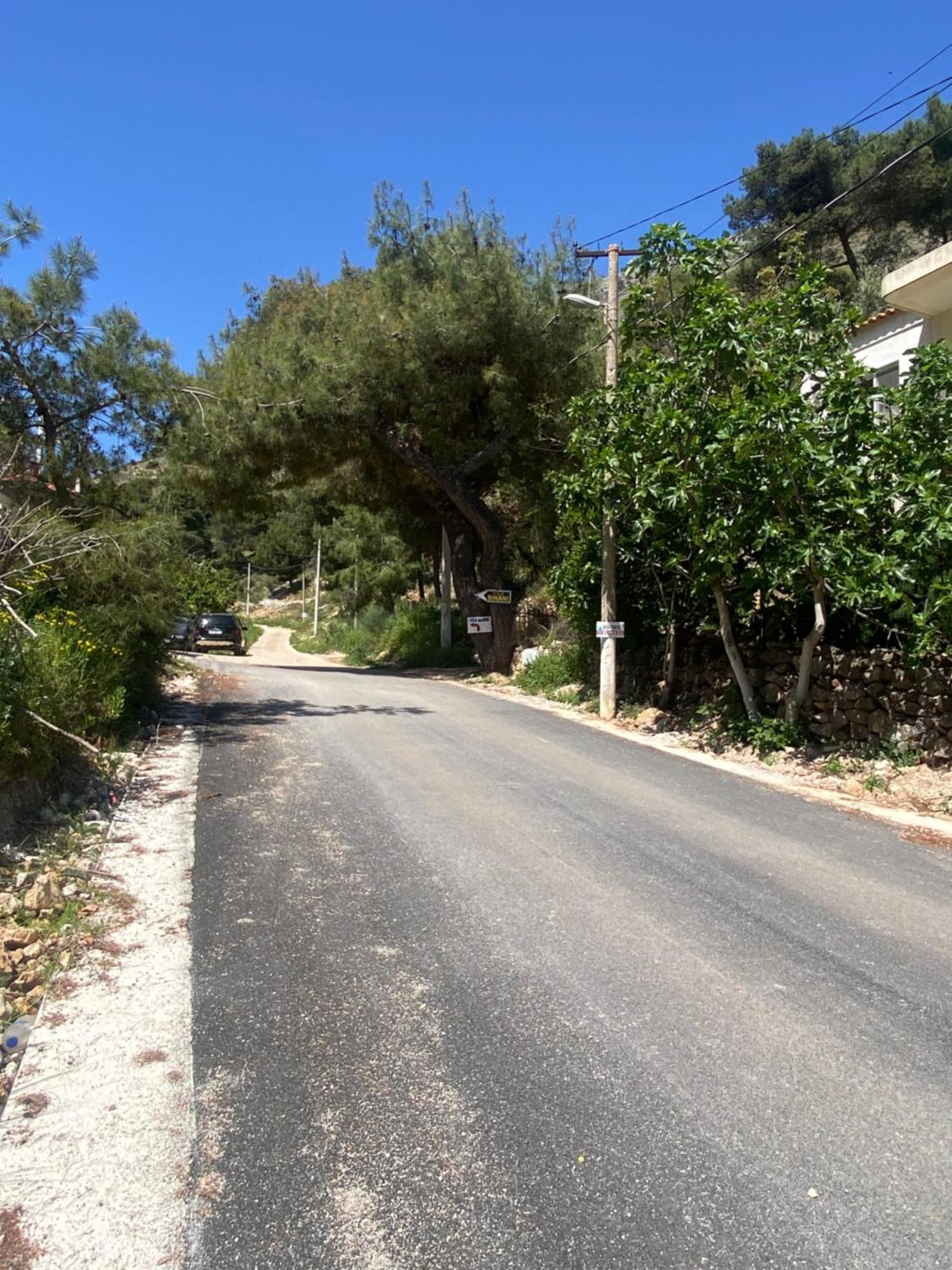 Vila Sinani ساراندا المظهر الخارجي الصورة